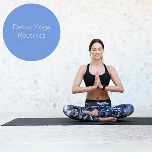 SkinnyMe Detox Program (E-Books)